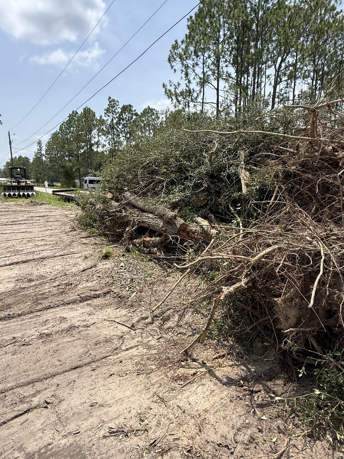 Brush and tree debris pile beside a cleared sandy lot